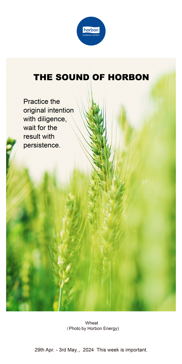 【和之声】用勤恳践行初心，用对峙期待了局。（总第132期）2024.4.29-5英文改幼季度推送用.jpg