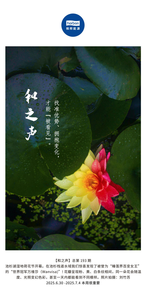 【和之声】找准优势、拥抱变动，能力“被看见”。(总第193期）--2025.6中文导出季度推送用.jpg