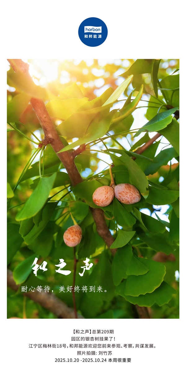 【和之声】耐心期待，美好终将到来。-(总第209期）2025.10.20中文导出季度推送用.jpg